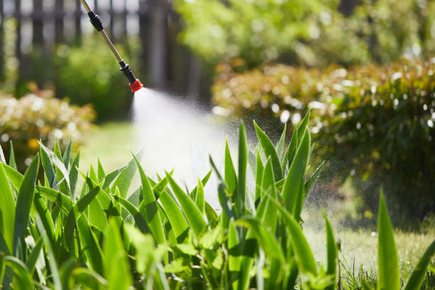 24/7 Emergency Mosquito Control experts in Roessleville, NY